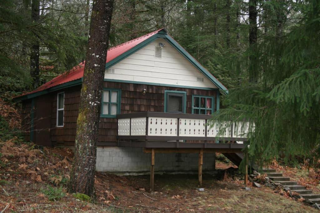Mountainside Chalet - Tiny Home باكوود المظهر الخارجي الصورة